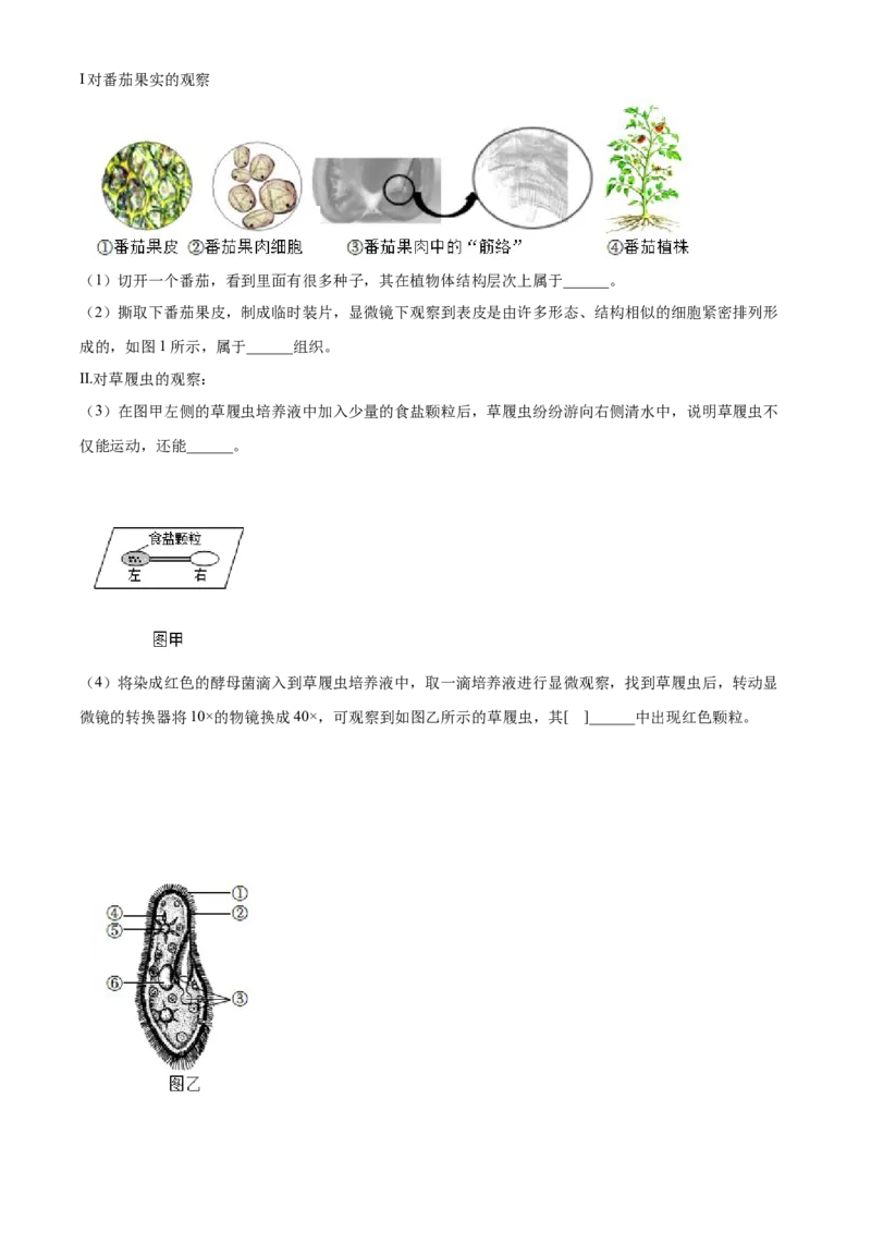 精品解析：北京市第十三中学分校2021-2022学年八年级下学期期中生物试题（解析版）(1)_北京初中期末题_C605-京七八九_B京生物七八九_北京八下生物