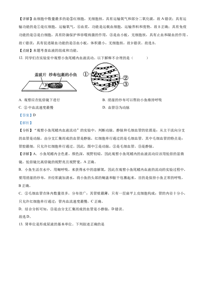 精品解析：北京市第十三中学分校2021-2022学年八年级下学期期中生物试题（解析版）(1)_北京初中期末题_C605-京七八九_B京生物七八九_北京八下生物