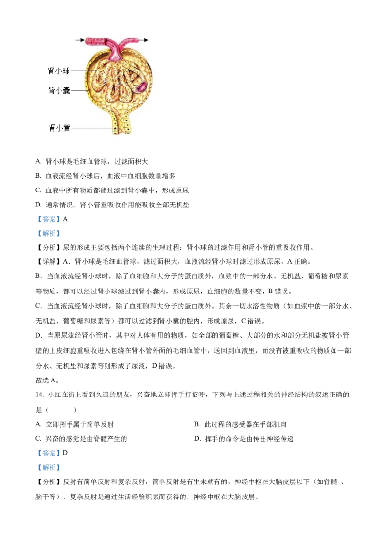 精品解析：北京市第十三中学分校2021-2022学年八年级下学期期中生物试题（解析版）(1)_北京初中期末题_C605-京七八九_B京生物七八九_北京八下生物
