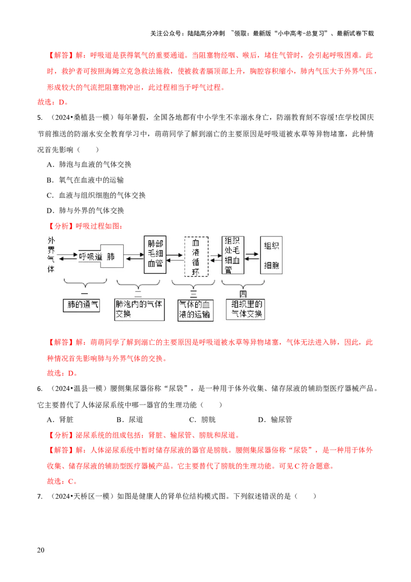 专题五人体生理与健康（一）（解析版）_02中考总复习（2026版更新中）_08-生物-中考总复习_2024年中考复习资料_三轮复习_查漏补缺2024年中考生物复习冲刺过关（全国通用）