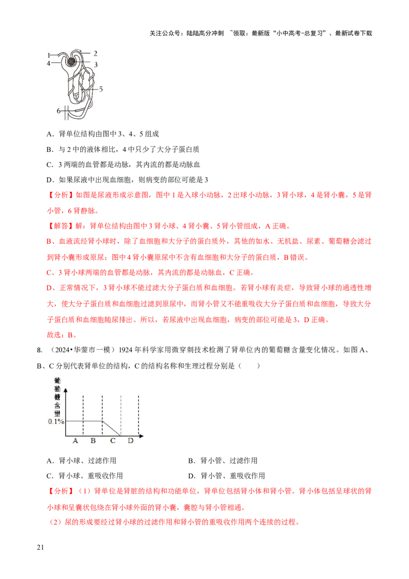 专题五人体生理与健康（一）（解析版）_02中考总复习（2026版更新中）_08-生物-中考总复习_2024年中考复习资料_三轮复习_查漏补缺2024年中考生物复习冲刺过关（全国通用）