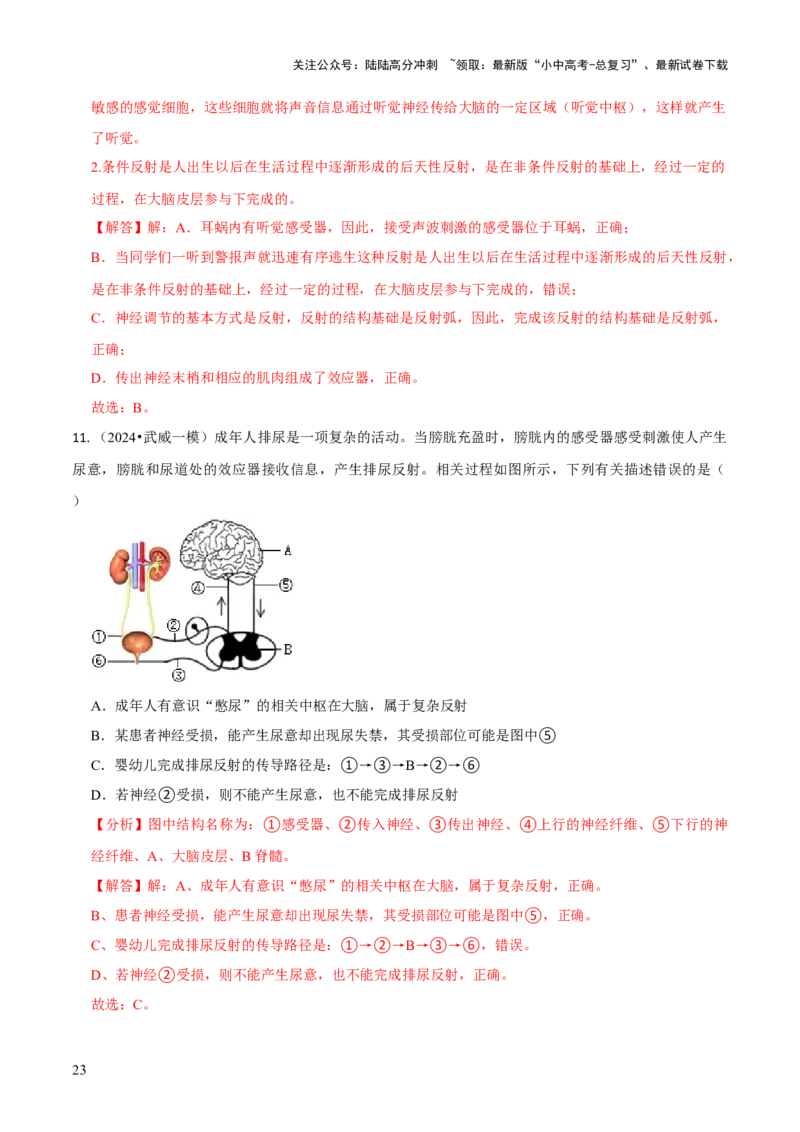 专题五人体生理与健康（一）（解析版）_02中考总复习（2026版更新中）_08-生物-中考总复习_2024年中考复习资料_三轮复习_查漏补缺2024年中考生物复习冲刺过关（全国通用）