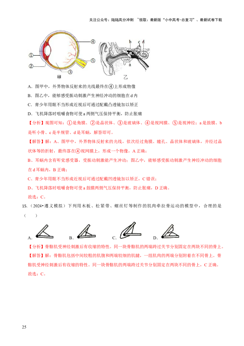 专题五人体生理与健康（一）（解析版）_02中考总复习（2026版更新中）_08-生物-中考总复习_2024年中考复习资料_三轮复习_查漏补缺2024年中考生物复习冲刺过关（全国通用）