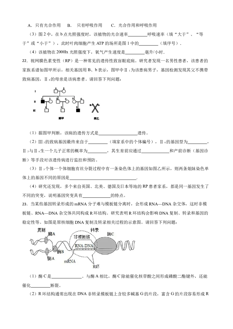 2023年新高考生物模拟试卷（山东卷）（Word版含答案）_4.2025物理总复习_2023年新高复习资料_3物理高考模拟题_新高考