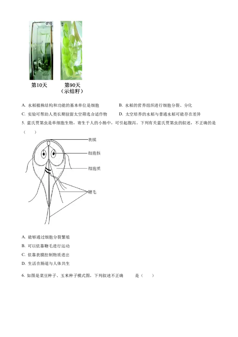精品解析：北京市第二中学教育集团2022-2023学年八年级下学期期中生物试题（原卷版）(1)_北京初中期末题_C605-京七八九_B京生物七八九_北京八下生物