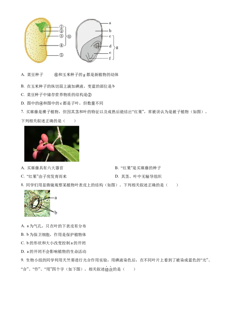 精品解析：北京市第二中学教育集团2022-2023学年八年级下学期期中生物试题（原卷版）(1)_北京初中期末题_C605-京七八九_B京生物七八九_北京八下生物