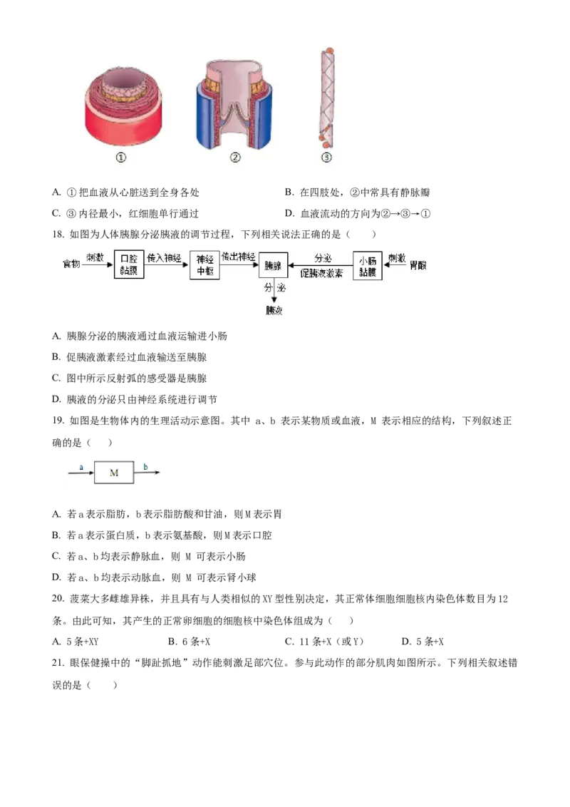 精品解析：北京市第二中学教育集团2022-2023学年八年级下学期期中生物试题（原卷版）(1)_北京初中期末题_C605-京七八九_B京生物七八九_北京八下生物