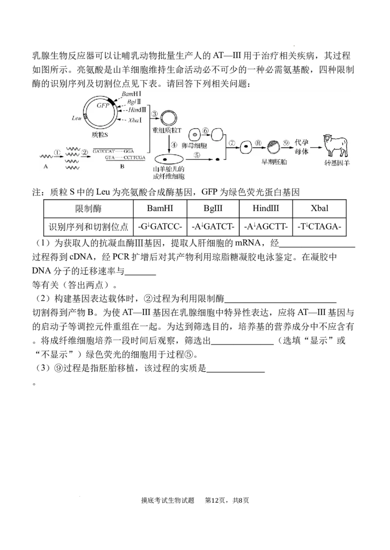 陕西省西安中学高2025届高三摸底考试生物试题_A1502026各地模拟卷（超值！）_9月_240905陕西省西安中学2024-2025学年高三上学期开学考试_陕西省西安中学高2025届高三摸底考试生物