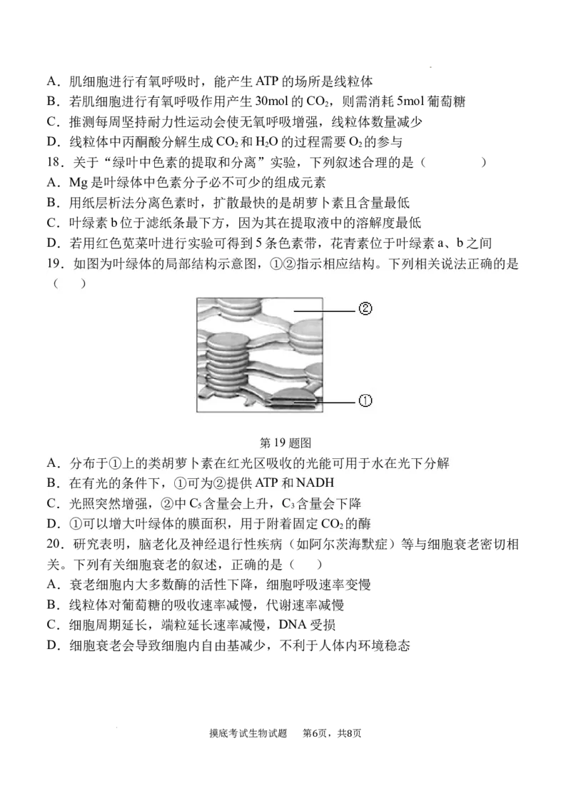 陕西省西安中学高2025届高三摸底考试生物试题_A1502026各地模拟卷（超值！）_9月_240905陕西省西安中学2024-2025学年高三上学期开学考试_陕西省西安中学高2025届高三摸底考试生物