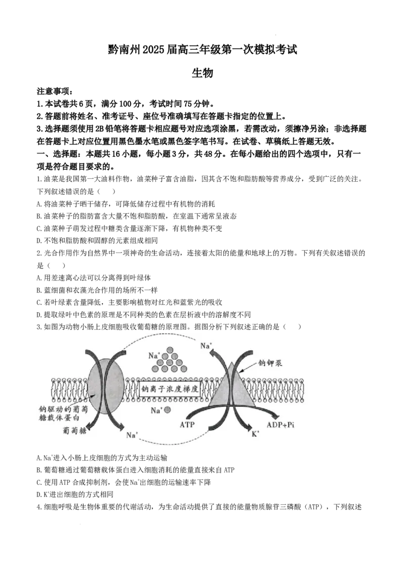贵州省黔南布依族苗族自治州2025届高三第一次模拟考试生物_A1502026各地模拟卷（超值！）_12月_241203贵州省黔南自治州2025届高三第一次模拟考试