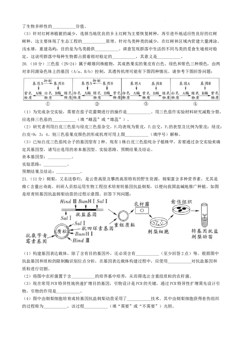 贵州省黔南布依族苗族自治州2025届高三第一次模拟考试生物_A1502026各地模拟卷（超值！）_12月_241203贵州省黔南自治州2025届高三第一次模拟考试