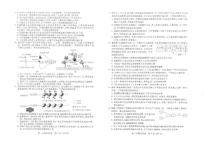 生物学试卷_A1502026各地模拟卷（超值！）_9月_240905湖北省&ldquo;宜荆荆恩&rdquo;2025届高三9月起点考试_生物