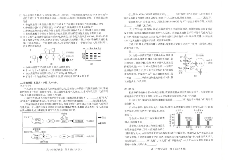 生物学试卷_A1502026各地模拟卷（超值！）_9月_240905湖北省&ldquo;宜荆荆恩&rdquo;2025届高三9月起点考试_生物