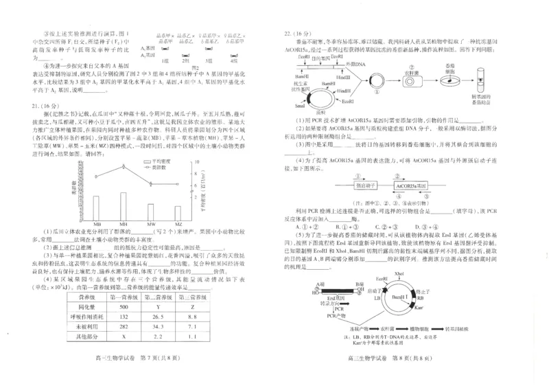 生物学试卷_A1502026各地模拟卷（超值！）_9月_240905湖北省&ldquo;宜荆荆恩&rdquo;2025届高三9月起点考试_生物