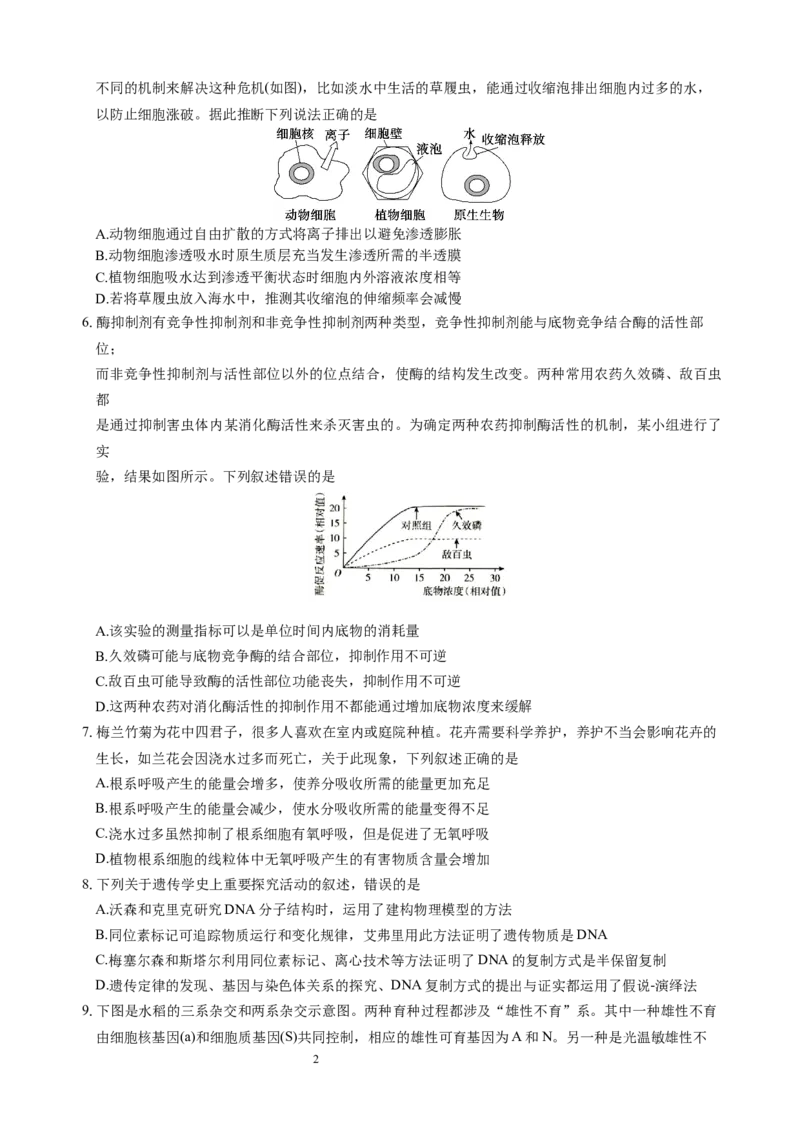 生物试题_A1502026各地模拟卷（超值！）_10月_241016四川省绵阳市南山中学集团学校2024-2025学年高三上学期10月联考
