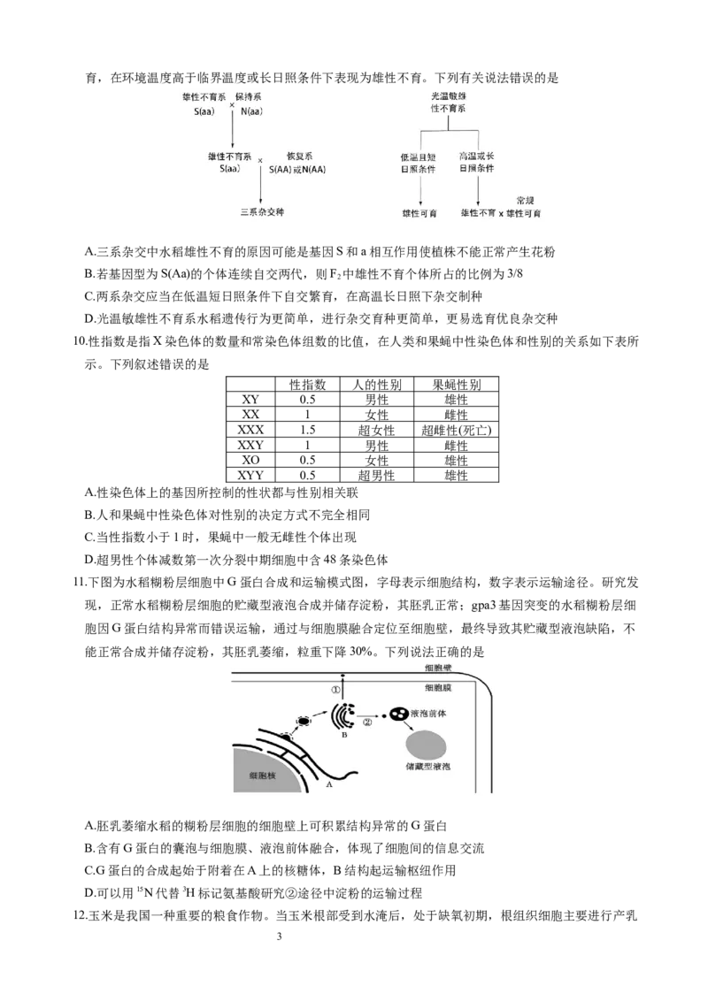 生物试题_A1502026各地模拟卷（超值！）_10月_241016四川省绵阳市南山中学集团学校2024-2025学年高三上学期10月联考