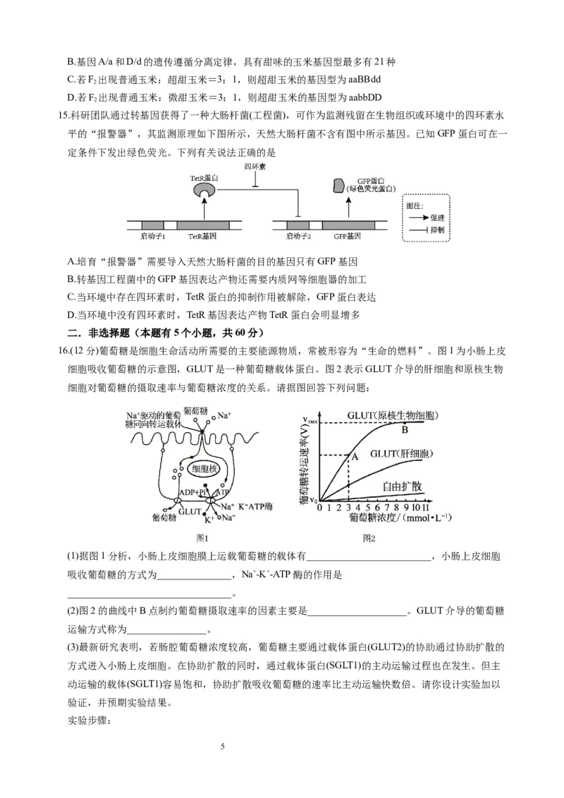 生物试题_A1502026各地模拟卷（超值！）_10月_241016四川省绵阳市南山中学集团学校2024-2025学年高三上学期10月联考