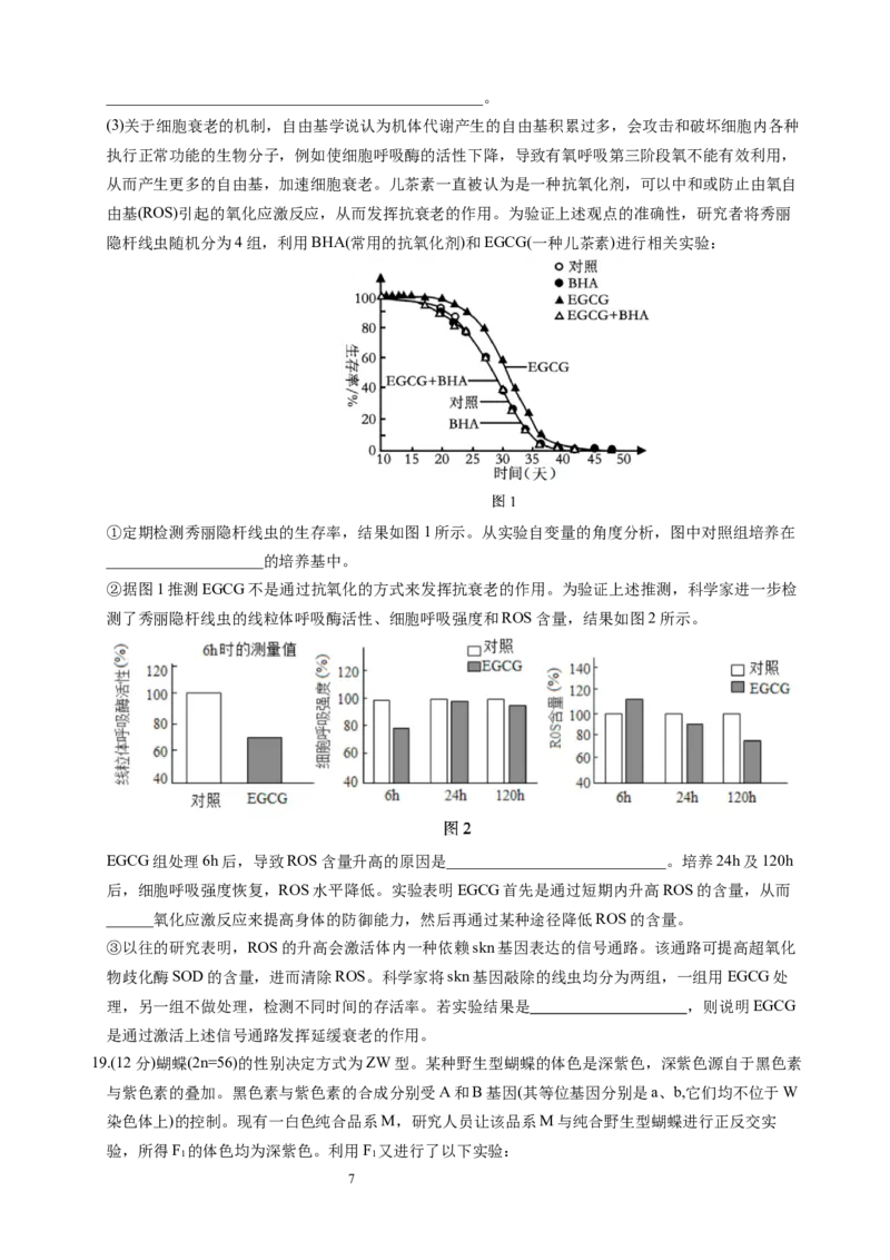 生物试题_A1502026各地模拟卷（超值！）_10月_241016四川省绵阳市南山中学集团学校2024-2025学年高三上学期10月联考