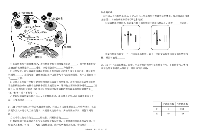 黑龙江省哈尔滨师范大学青冈实验中学校2025届高三上学期期中考试生物_A1502026各地模拟卷（超值！）_12月