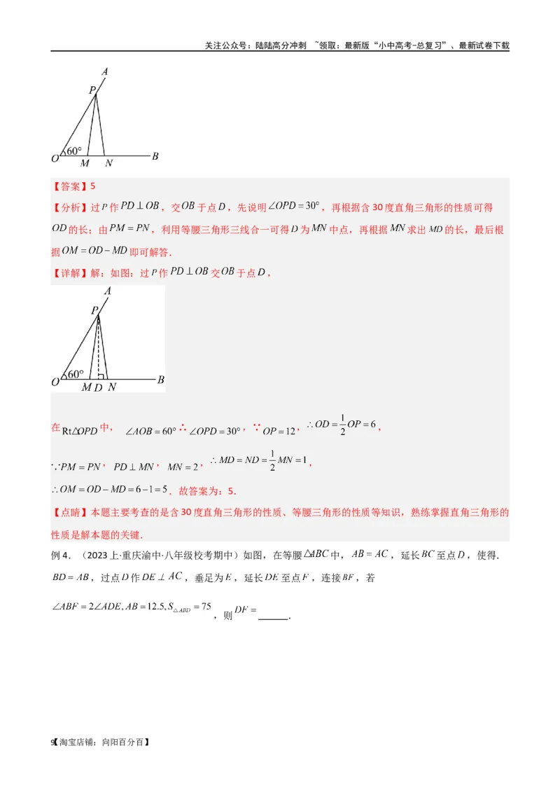 专题38重要的几何模型之中点模型（一）（解析版）_02中考总复习（2026版更新中）_02-数学-中考总复习_2024年中考复习资料_专项复习资料_答案解析版