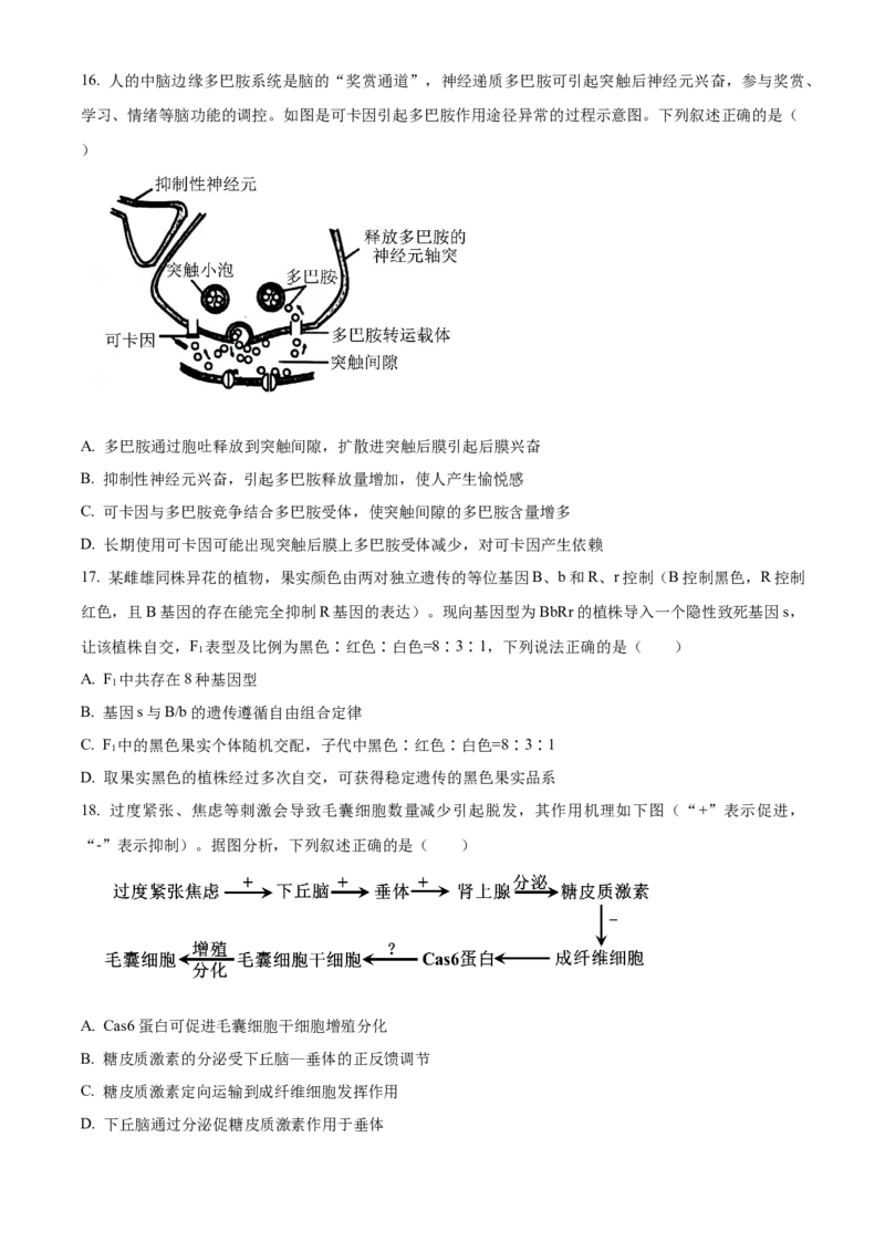浙江省衢州市2023-2024学年高二下学期6月期末生物试题Word版无答案_A1502026各地模拟卷（超值！）_6月_240627浙江省衢州市2023-2024学年高二下学期6月期末