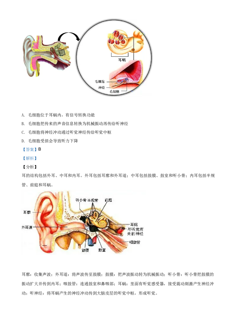 精品解析：北京市海淀区2019-2020学年七年级下学期期末生物试题（解析版）(1)_北京初中期末题_C605-京七八九_B京生物七八九_北京7下生物_2019-2020