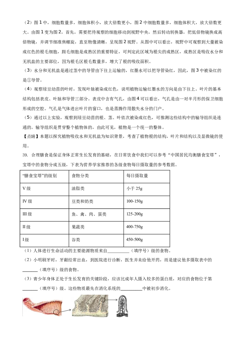 精品解析：北京市石景山区2020-2021学年第一学期七年级生物期末试题（解析版）(1)_北京初中期末题_C605-京七八九_B京生物七八九_北京7上生物_2020-2021