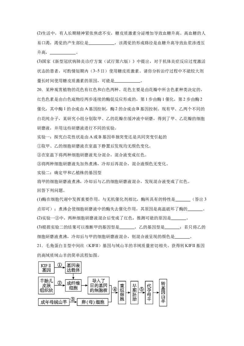 湖南省岳阳市临湘市2024-2025学年高三上学期11月期中生物试题Word版含答案_A1502026各地模拟卷（超值！）_11月_241126湖南省岳阳市临湘市2024-2025学年高三上学期11月期中考试