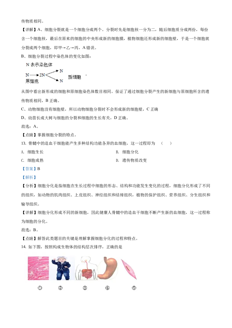 精品解析：北京市朝阳区2019-2020学年七年级上学期期末生物试题（解析版）(1)_北京初中期末题_C605-京七八九_B京生物七八九_北京7上生物_2019-2020