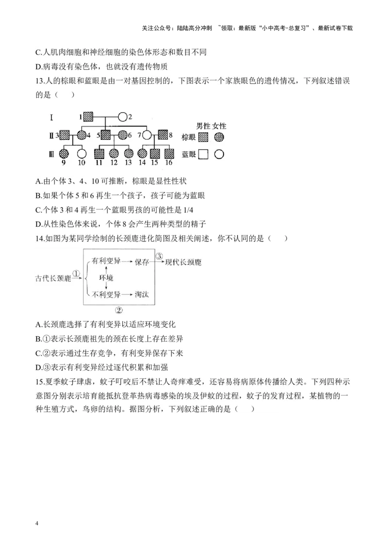 专题六生物圈中生命的延续和发展&mdash;&mdash;2025年中考生物二轮专题达标训练（含解析）_02中考总复习（2026版更新中）_08-生物-中考总复习_2025中考复习资料