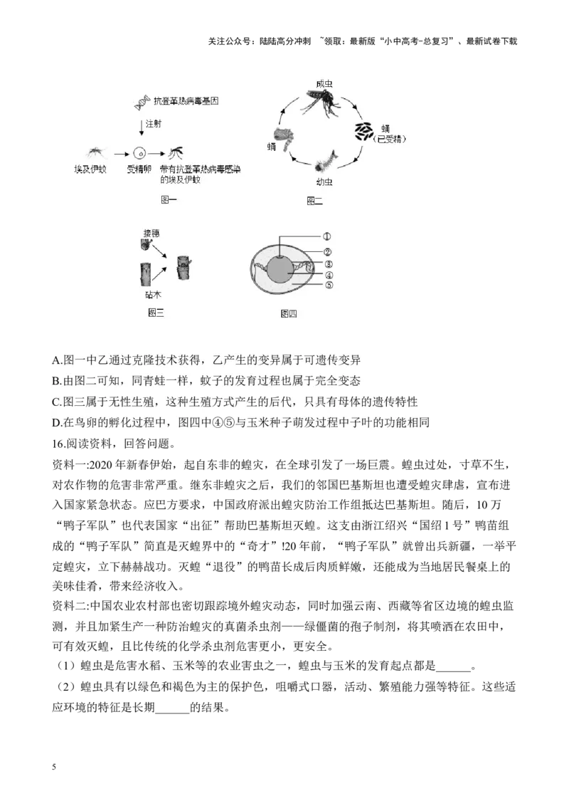 专题六生物圈中生命的延续和发展&mdash;&mdash;2025年中考生物二轮专题达标训练（含解析）_02中考总复习（2026版更新中）_08-生物-中考总复习_2025中考复习资料