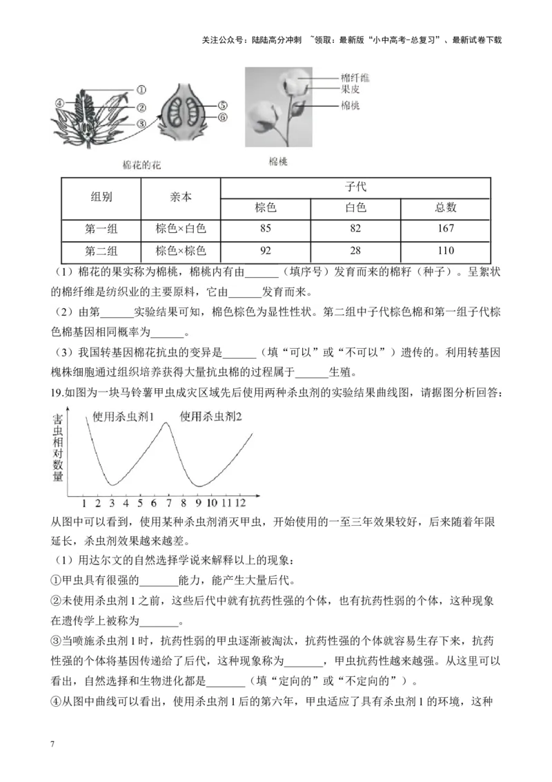 专题六生物圈中生命的延续和发展&mdash;&mdash;2025年中考生物二轮专题达标训练（含解析）_02中考总复习（2026版更新中）_08-生物-中考总复习_2025中考复习资料