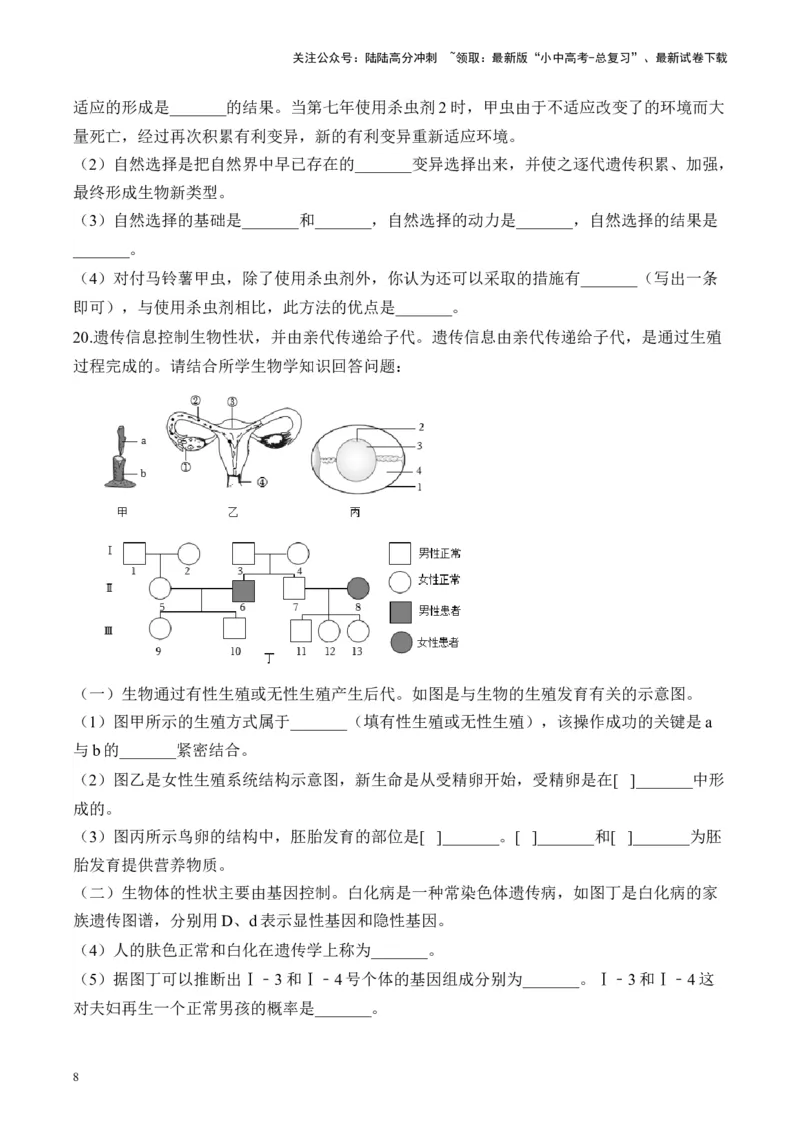 专题六生物圈中生命的延续和发展&mdash;&mdash;2025年中考生物二轮专题达标训练（含解析）_02中考总复习（2026版更新中）_08-生物-中考总复习_2025中考复习资料