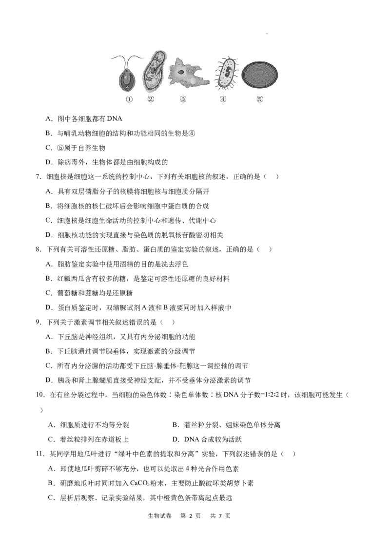 重庆市乌江新高考协作体2024-2025学年高三上学期9月月考生物试卷_A1502026各地模拟卷（超值！）_9月_240912重庆市乌江新高考协作体2024-2025学年高三上学期9月月考