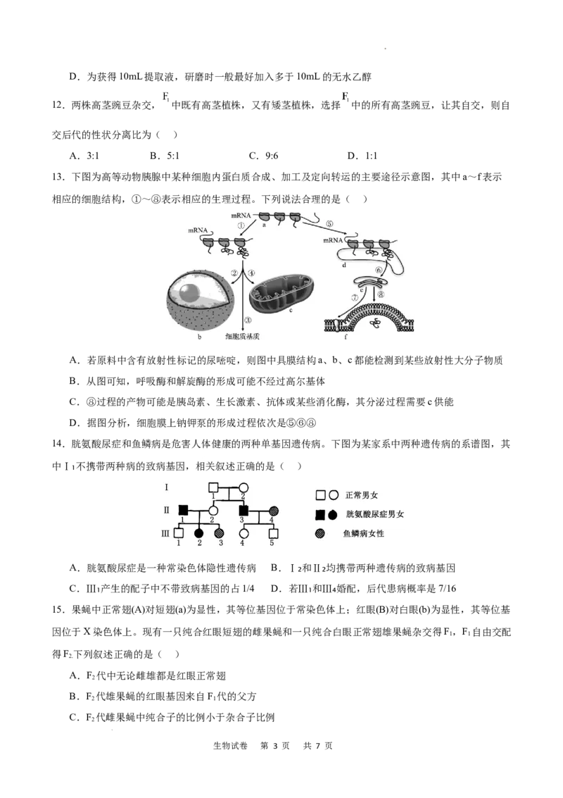 重庆市乌江新高考协作体2024-2025学年高三上学期9月月考生物试卷_A1502026各地模拟卷（超值！）_9月_240912重庆市乌江新高考协作体2024-2025学年高三上学期9月月考