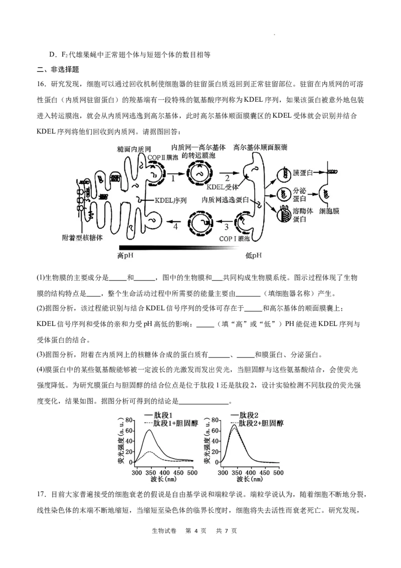 重庆市乌江新高考协作体2024-2025学年高三上学期9月月考生物试卷_A1502026各地模拟卷（超值！）_9月_240912重庆市乌江新高考协作体2024-2025学年高三上学期9月月考