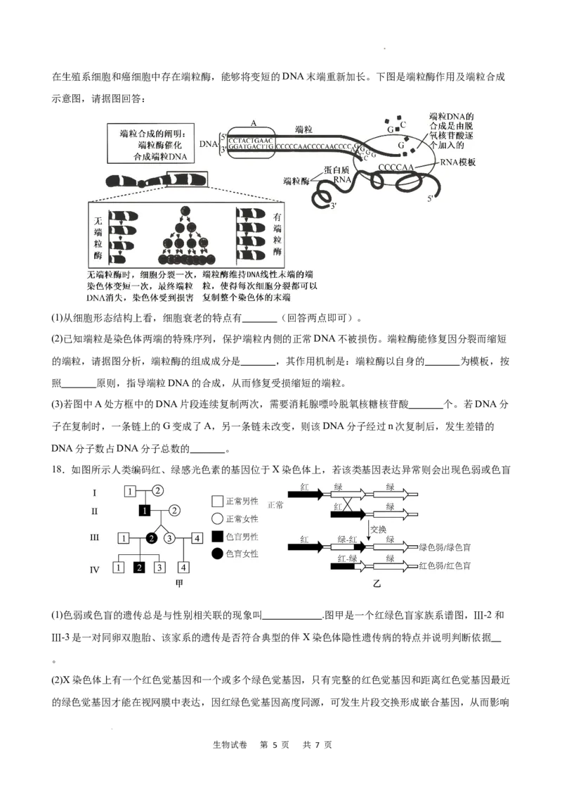 重庆市乌江新高考协作体2024-2025学年高三上学期9月月考生物试卷_A1502026各地模拟卷（超值！）_9月_240912重庆市乌江新高考协作体2024-2025学年高三上学期9月月考