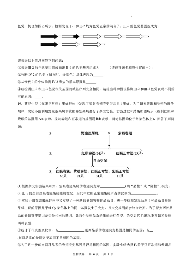 重庆市乌江新高考协作体2024-2025学年高三上学期9月月考生物试卷_A1502026各地模拟卷（超值！）_9月_240912重庆市乌江新高考协作体2024-2025学年高三上学期9月月考