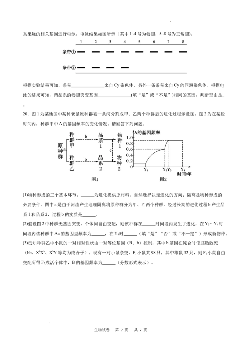 重庆市乌江新高考协作体2024-2025学年高三上学期9月月考生物试卷_A1502026各地模拟卷（超值！）_9月_240912重庆市乌江新高考协作体2024-2025学年高三上学期9月月考
