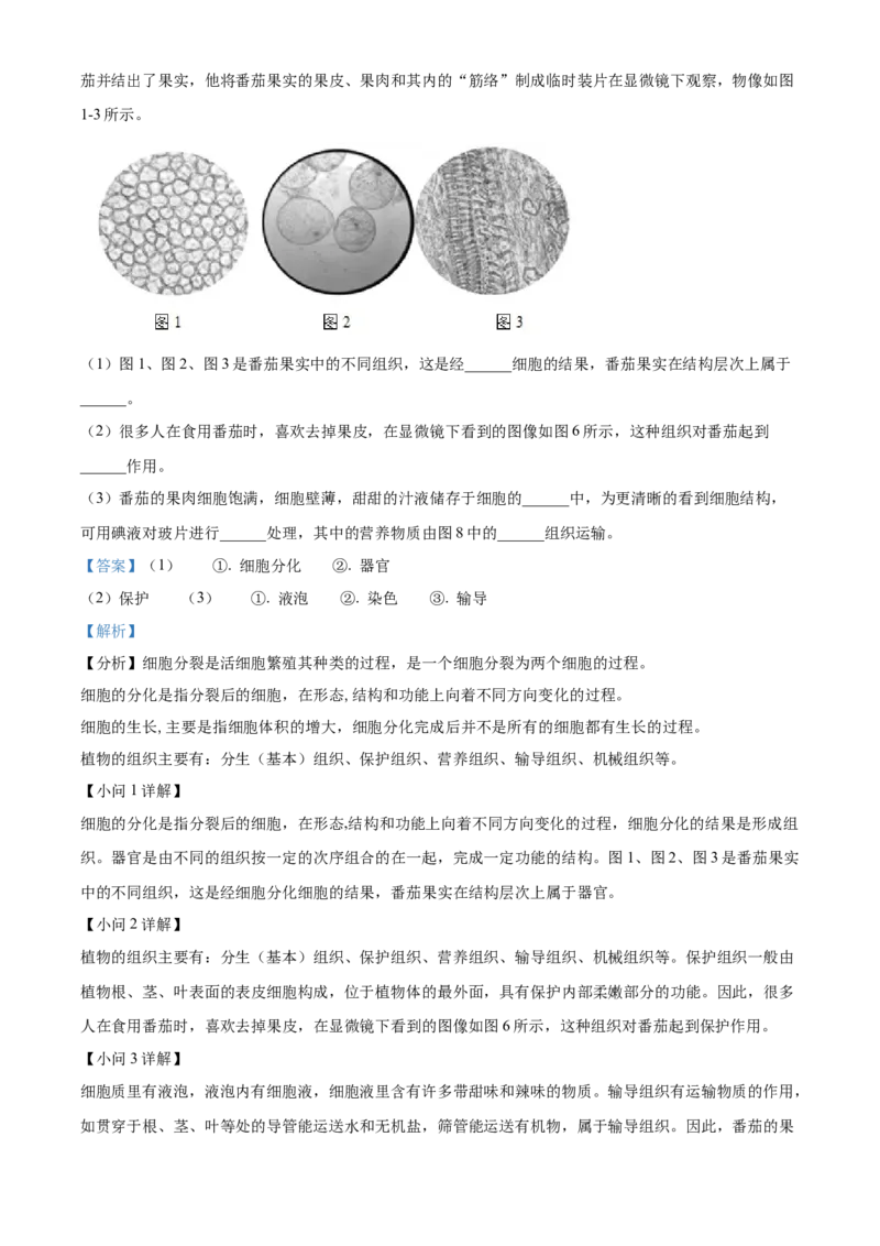 精品解析：北京市顺义区2021-2022学年七年级上学期期末生物试题（解析版）(1)_北京初中期末题_C605-京七八九_B京生物七八九_北京7上生物_2021-2022