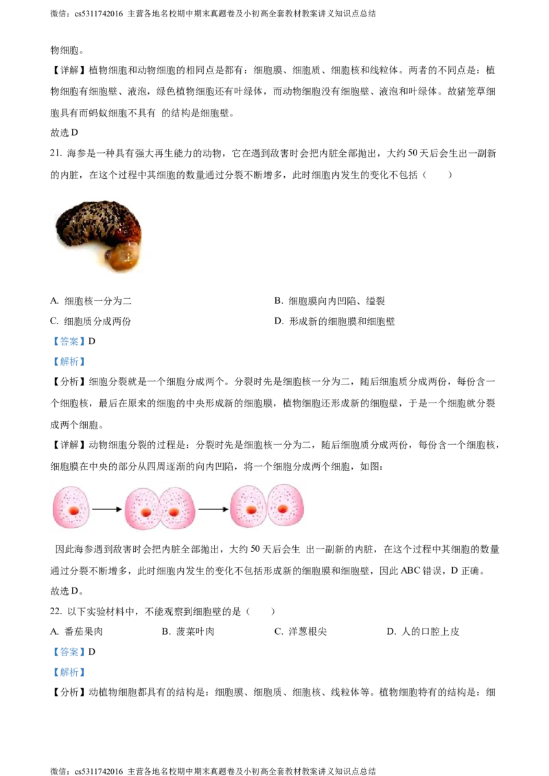 精品解析：北京市通州区2022-2023学年七年级上学期期中生物试题（解析版）(1)_北京初中期末题_C605-京七八九_B京生物七八九_北京7上生物_2022-2024_北京生物7上期中