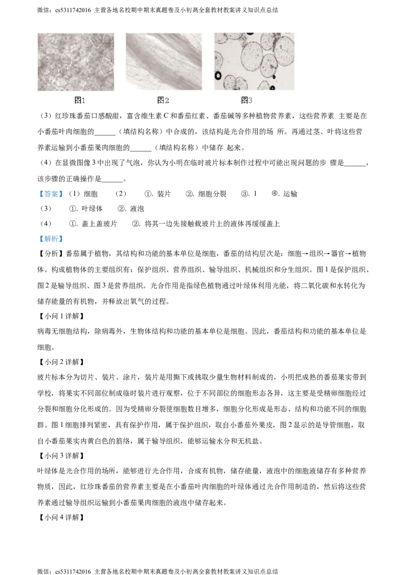 精品解析：北京市通州区2022-2023学年七年级上学期期中生物试题（解析版）(1)_北京初中期末题_C605-京七八九_B京生物七八九_北京7上生物_2022-2024_北京生物7上期中