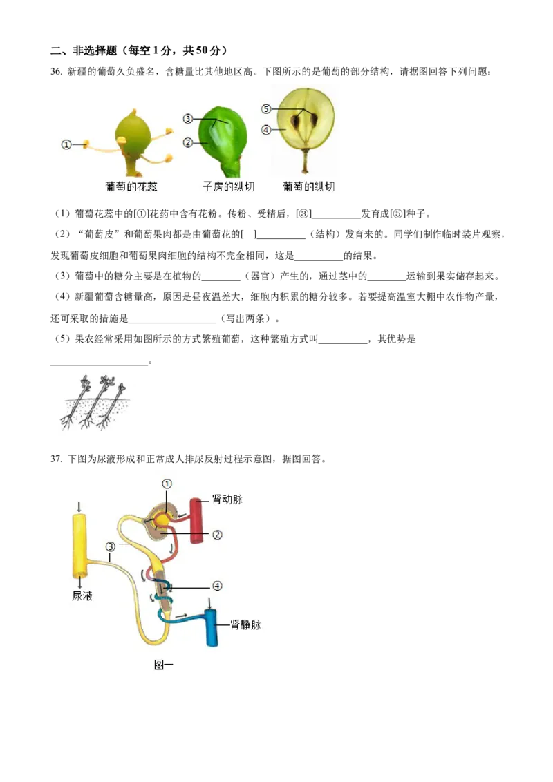 精品解析：北京市第十五中学2021-2022学年八年级下学期期中生物试题（原卷版）(1)_北京初中期末题_C605-京七八九_B京生物七八九_北京八下生物