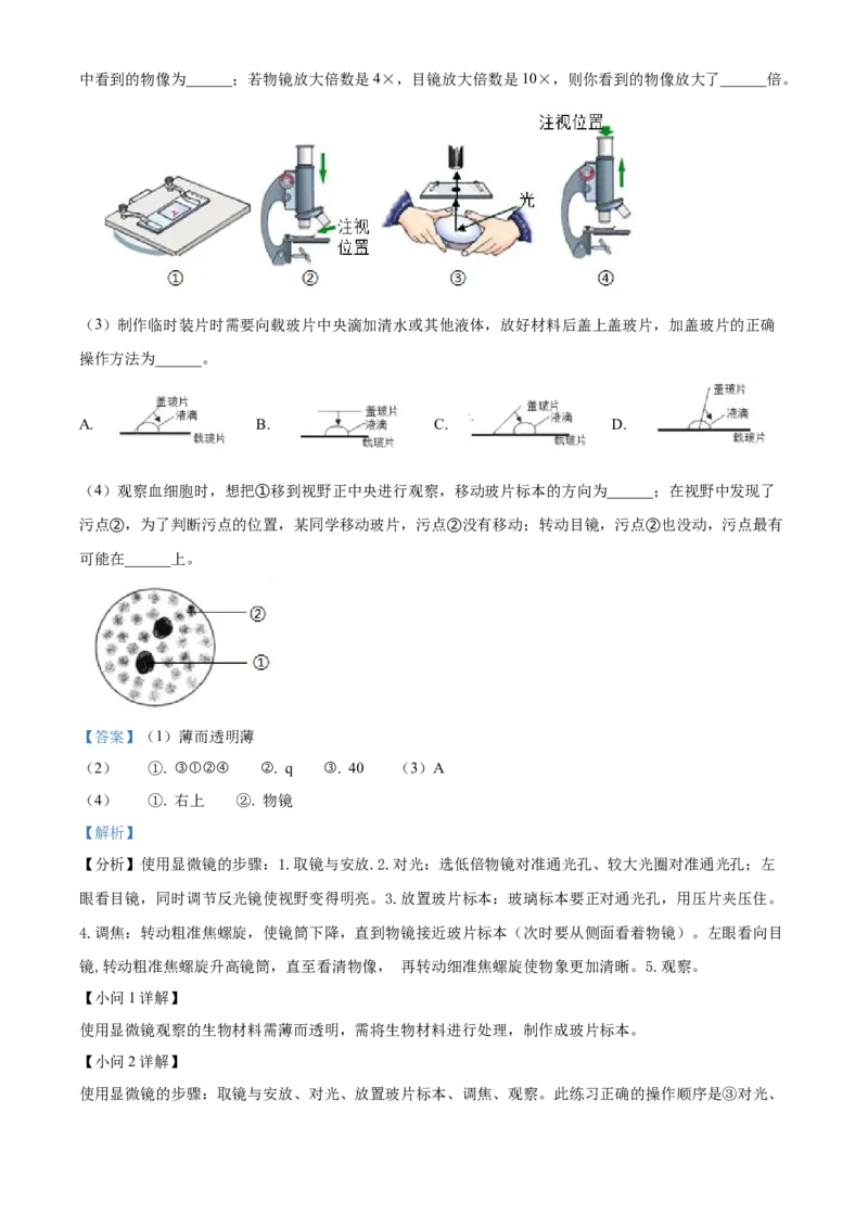 精品解析：北京市燕山地区2021-2022学年七年级上学期期末生物试题（解析版）(1)_北京初中期末题_C605-京七八九_B京生物七八九_北京7上生物_2021-2022