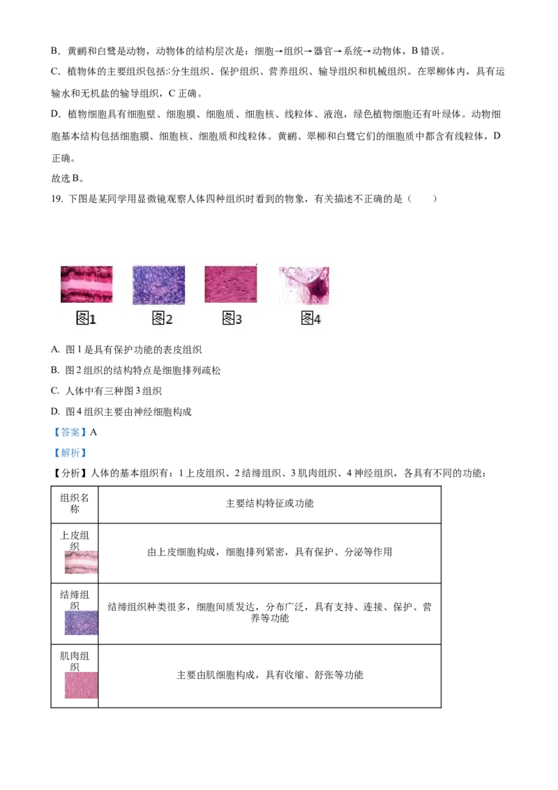 精品解析：北京市燕山地区2021-2022学年七年级上学期期末生物试题（解析版）(1)_北京初中期末题_C605-京七八九_B京生物七八九_北京7上生物_2021-2022