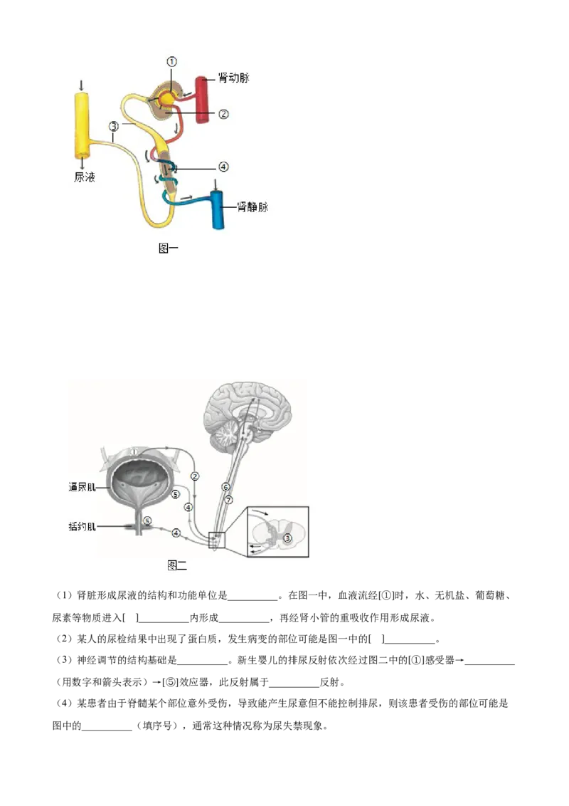 精品解析：北京市第十五中学2021-2022学年八年级下学期期中生物试题（解析版）(1)_北京初中期末题_C605-京七八九_B京生物七八九_北京八下生物