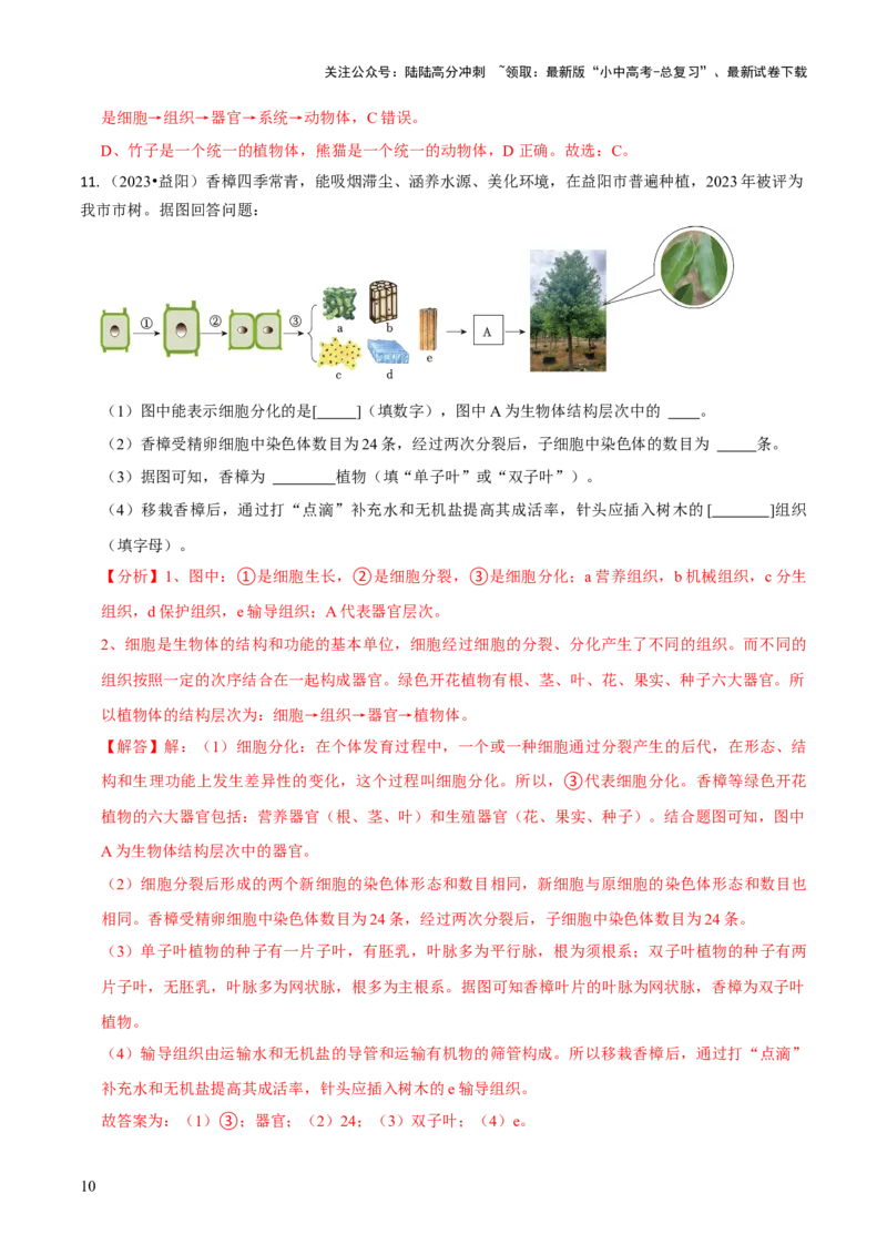 专题一生物体的结构层次（解析版）_02中考总复习（2026版更新中）_08-生物-中考总复习_2024年中考复习资料_三轮复习_查漏补缺2024年中考生物复习冲刺过关（全国通用）