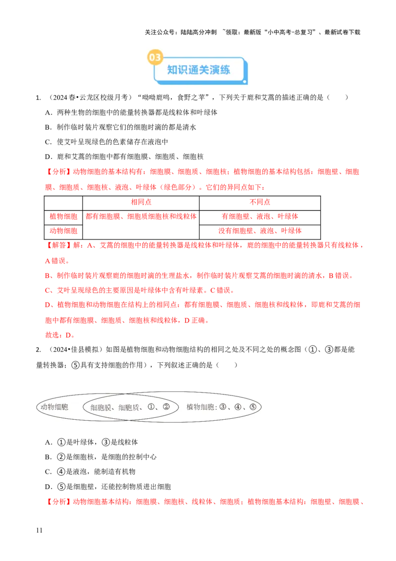 专题一生物体的结构层次（解析版）_02中考总复习（2026版更新中）_08-生物-中考总复习_2024年中考复习资料_三轮复习_查漏补缺2024年中考生物复习冲刺过关（全国通用）