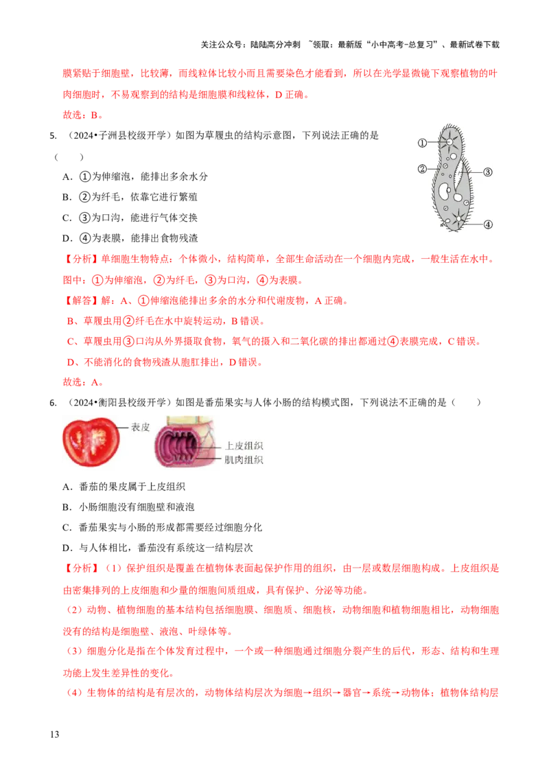 专题一生物体的结构层次（解析版）_02中考总复习（2026版更新中）_08-生物-中考总复习_2024年中考复习资料_三轮复习_查漏补缺2024年中考生物复习冲刺过关（全国通用）