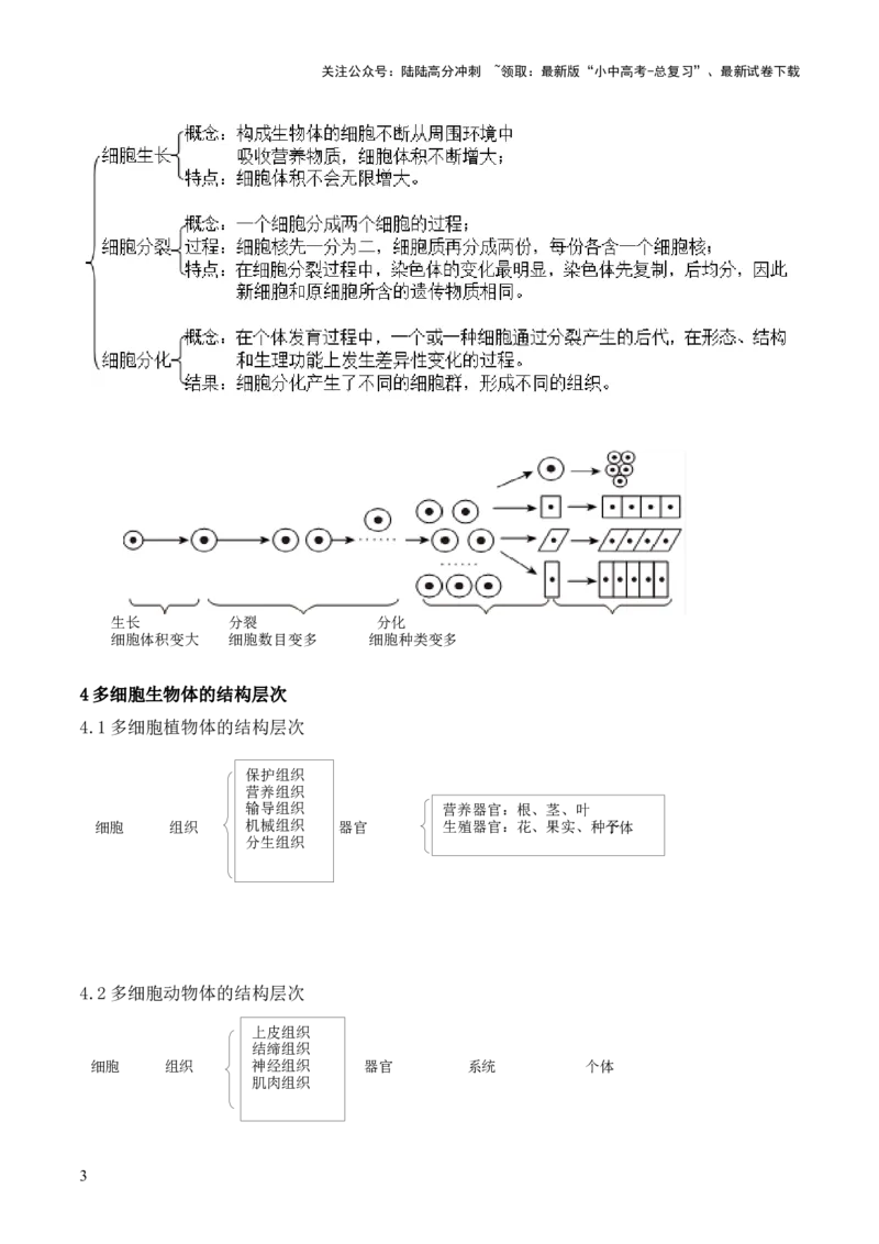 专题一生物体的结构层次（解析版）_02中考总复习（2026版更新中）_08-生物-中考总复习_2024年中考复习资料_三轮复习_查漏补缺2024年中考生物复习冲刺过关（全国通用）